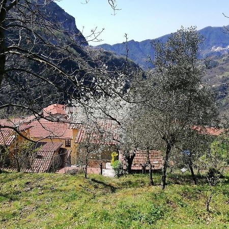 Il Metato Di Gallena Bed and Breakfast Stazzema Exteriör bild