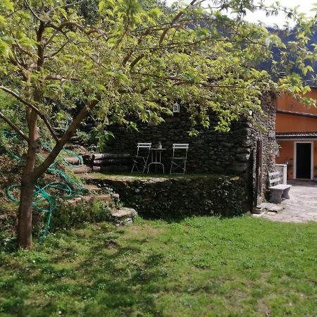 Il Metato Di Gallena Bed and Breakfast Stazzema Exteriör bild
