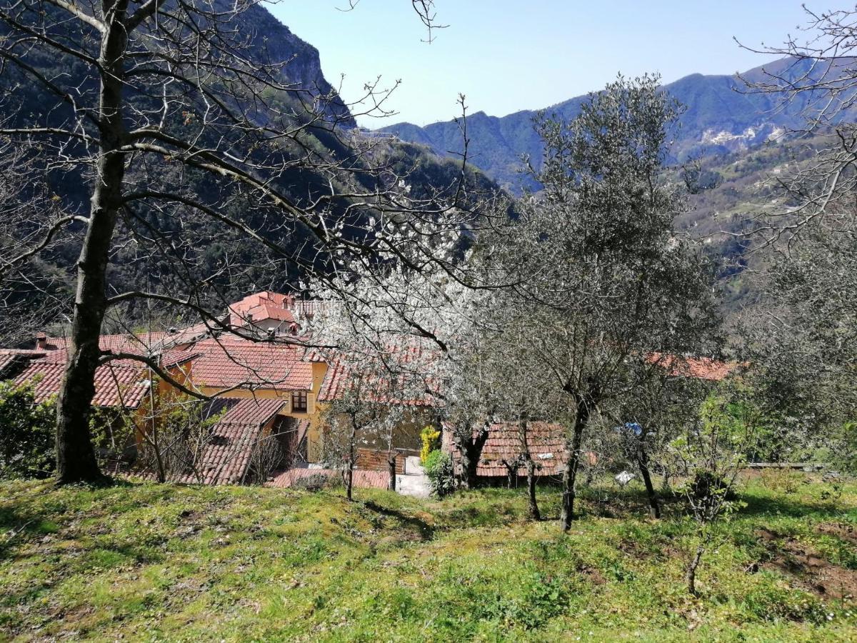 Il Metato Di Gallena Bed and Breakfast Stazzema Exteriör bild