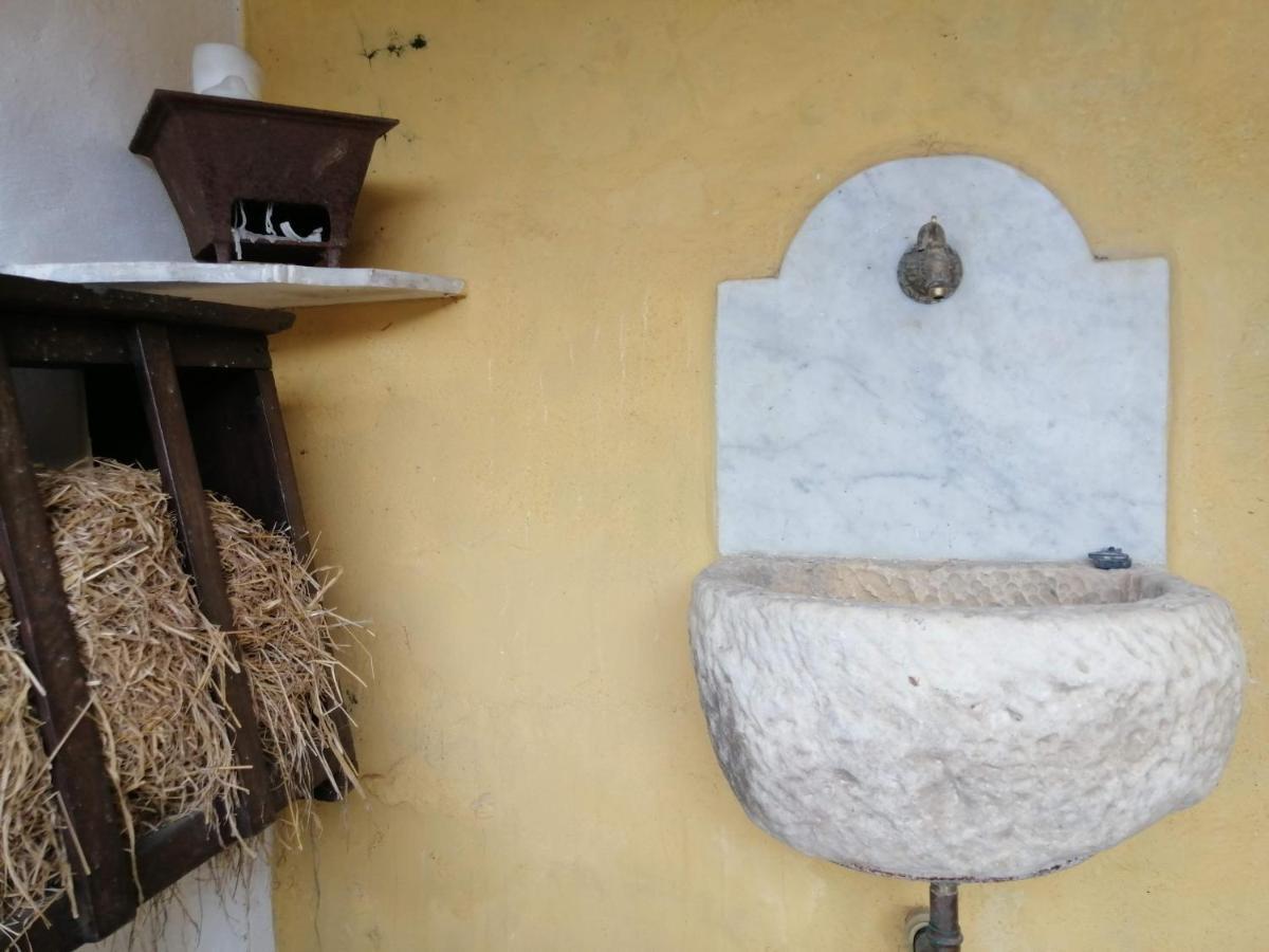 Il Metato Di Gallena Bed and Breakfast Stazzema Exteriör bild