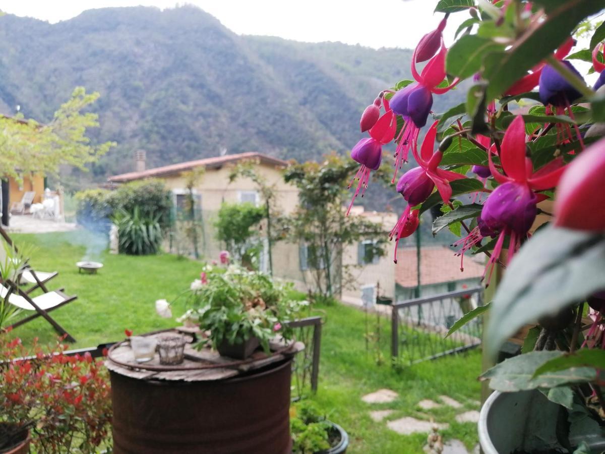 Il Metato Di Gallena Bed and Breakfast Stazzema Exteriör bild