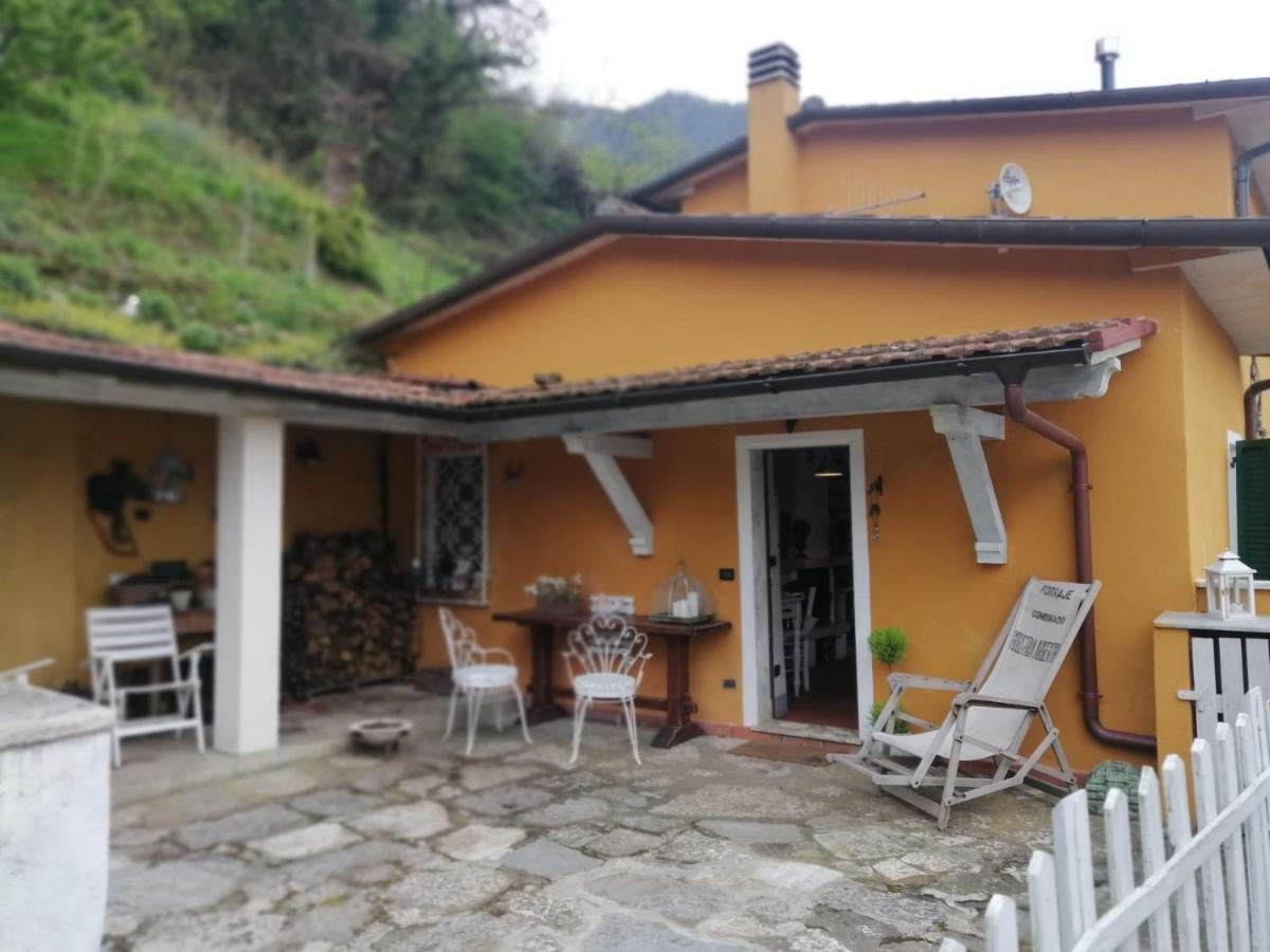 Il Metato Di Gallena Bed and Breakfast Stazzema Exteriör bild