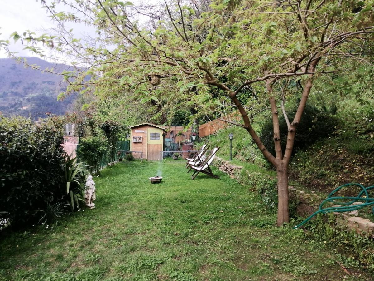 Il Metato Di Gallena Bed and Breakfast Stazzema Exteriör bild