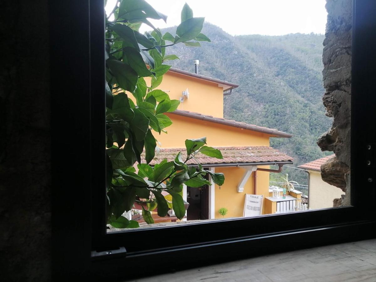 Il Metato Di Gallena Bed and Breakfast Stazzema Exteriör bild