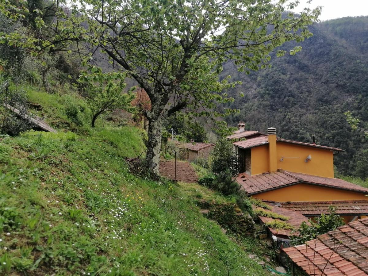 Il Metato Di Gallena Bed and Breakfast Stazzema Exteriör bild