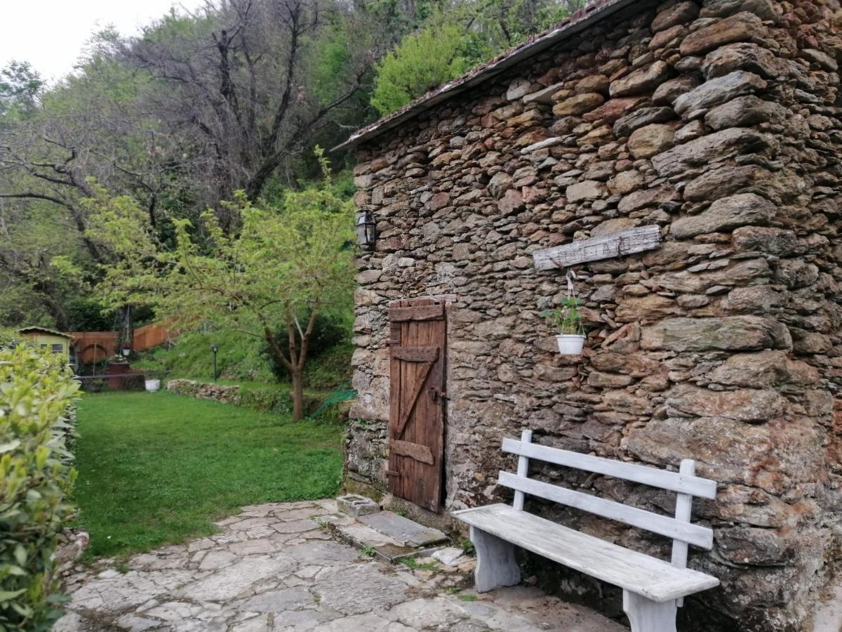 Il Metato Di Gallena Bed and Breakfast Stazzema Exteriör bild