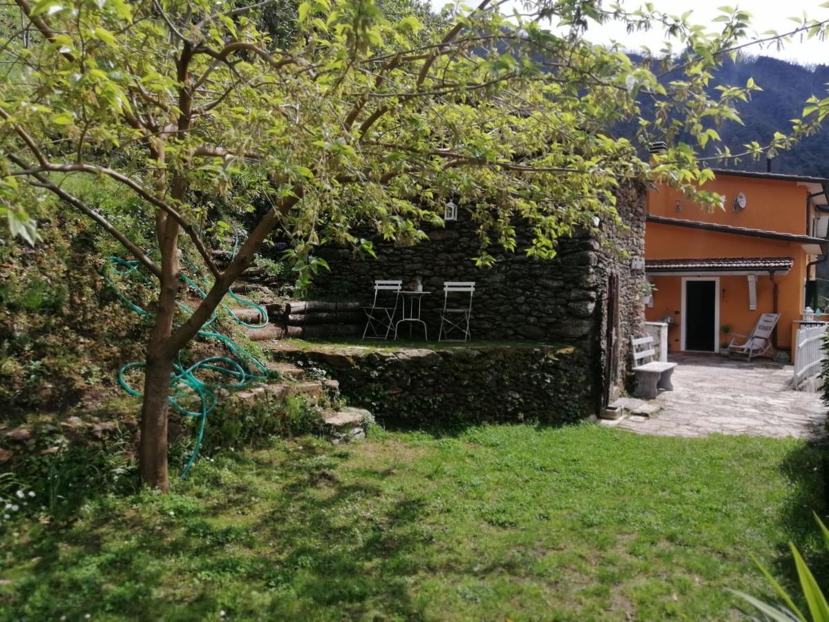 Il Metato Di Gallena Bed and Breakfast Stazzema Exteriör bild