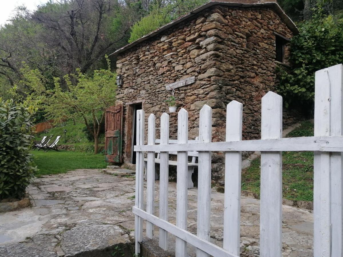 Il Metato Di Gallena Bed and Breakfast Stazzema Exteriör bild