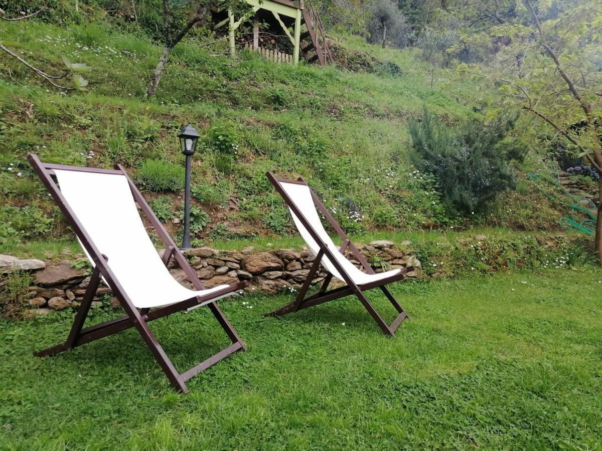 Il Metato Di Gallena Bed and Breakfast Stazzema Exteriör bild