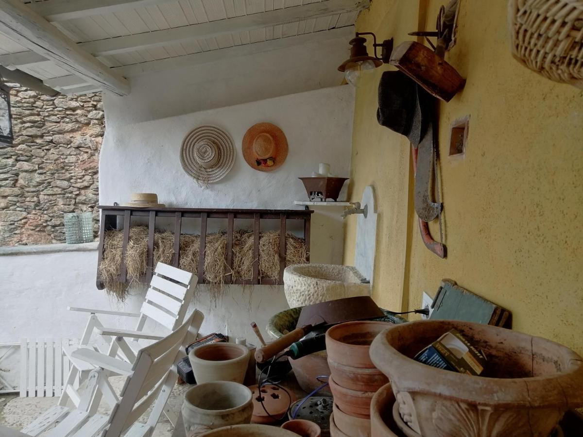 Il Metato Di Gallena Bed and Breakfast Stazzema Exteriör bild